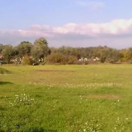 Orchidea Bed and breakfast Alezio